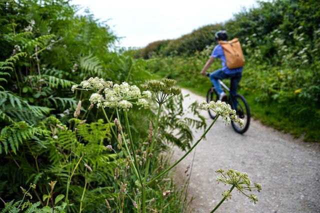 cycle ride in nature reserve